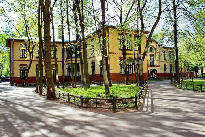 Врачи Педиатрического университета получили государственные награды