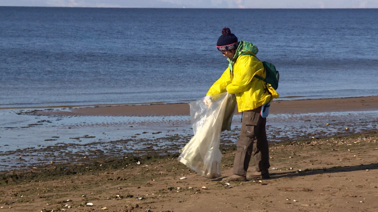 Приглашаем принять участие в экологической акции «Чистый берег»