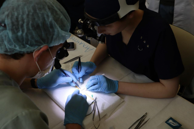 Студенты Педиатрического университета - бронзовые призеры Алмазовской олимпиады по нейрохирургии 4