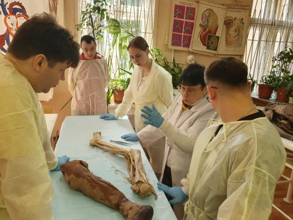 Программа научно-практического курса по регионарной анестезии «Белые Ночи регионарной анестезии» 2