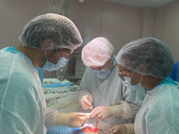 В Педиатрическом университете прооперировали трех пациенток с опухолями поджелудочной железы