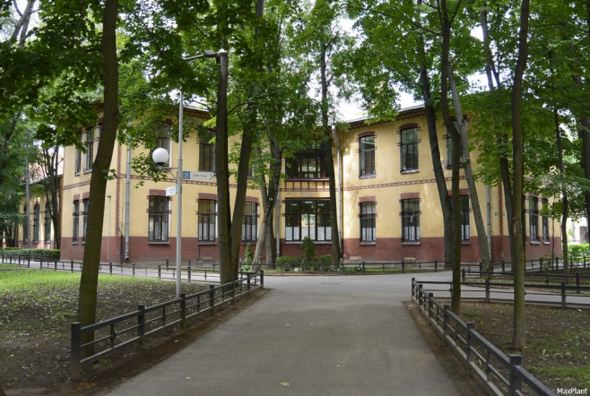 Врачи Педиатрического университета Минздрава России будут вести пациентку с ДЦП из Мелитополя