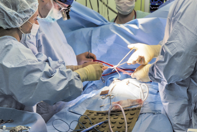 ДИАГНОСТИКА, НАБЛЮДЕНИЕ И ЛЕЧЕНИЕ ВРОЖДЁННЫХ АНОМАЛИЙ СЕРДЦА У ПЛОДА