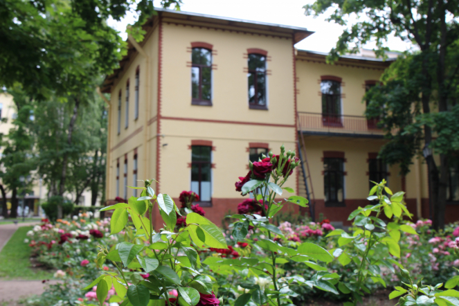 Детские гинекологи и урологи провели сложную реконструктивную операцию 9-летней девочке из Великих Лук