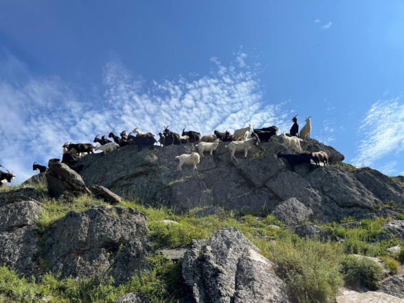 Студенты института кино и телевидения снимают документальный фильм о будущем враче 1