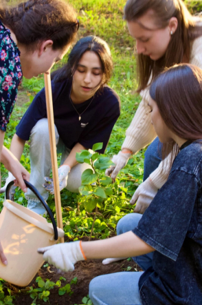 К столетию Педиатрического университета студенты высадили аллею 2