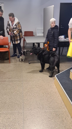 Иностранные студенты Педиатрического университета приняли участие в фестивале студентов- волонтёров 3