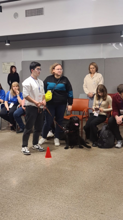 Иностранные студенты Педиатрического университета приняли участие в фестивале студентов- волонтёров 5