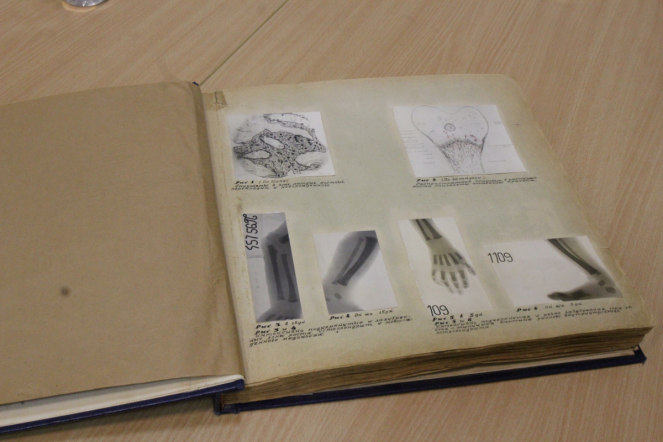 На кафедре дерматовенерологии открыли галерею акварелей середины XIX века 9