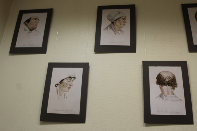 На кафедре дерматовенерологии открыли галерею акварелей середины XIX века 11