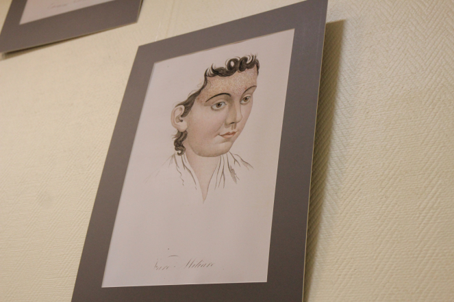 На кафедре дерматовенерологии открыли галерею акварелей середины XIX века 13