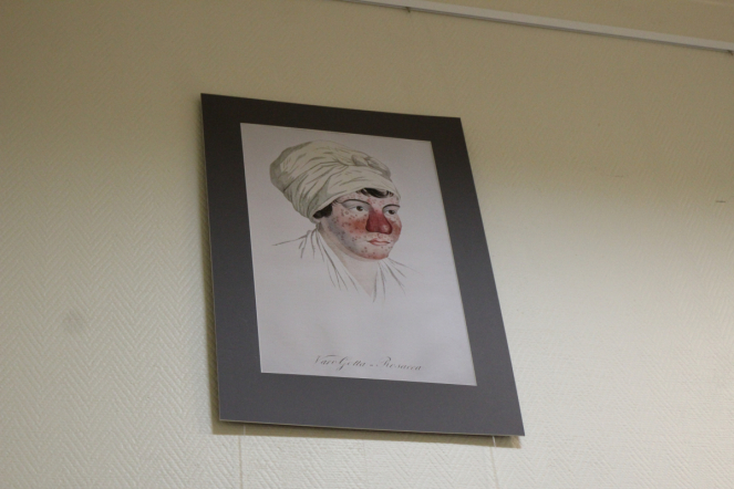 На кафедре дерматовенерологии открыли галерею акварелей середины XIX века 14