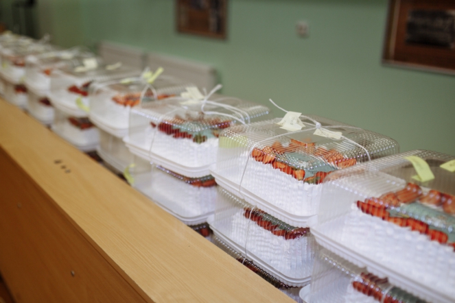 Медсестер и акушерок СПбГПМУ поздравили с профессиональными праздниками 3