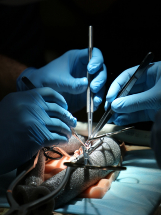 Студентка Педиатрического университета – бронзовый призер Всероссийской олимпиады по нейрохирургии 2