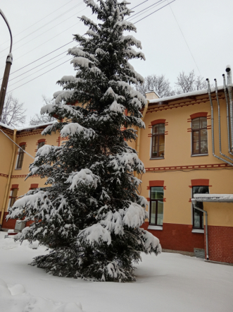 Педиатрический университет: снегопады не нарушили рабочий режим 5