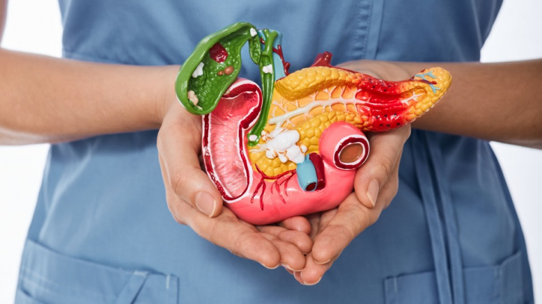 Учёные Педиатрического университета запатентовали способ диагностики опухолевой инвазии при раке головки поджелудочной железы