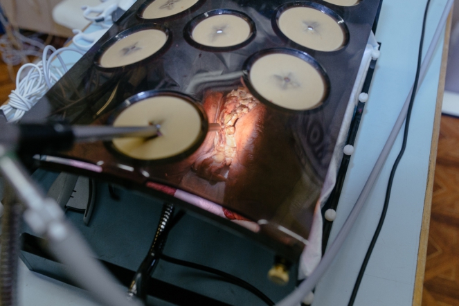 Международный конгресс «Здоровые дети – будущее страны» прошел в Педиатрическом университете! 18