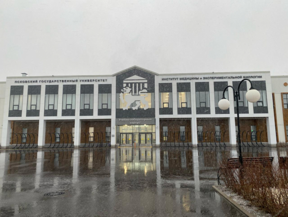 Сотрудники НМИЦ по педиатрии: В Псковской области ведётся активная работа по совершенствованию системы оказания помощи детям и будущим мамам 9