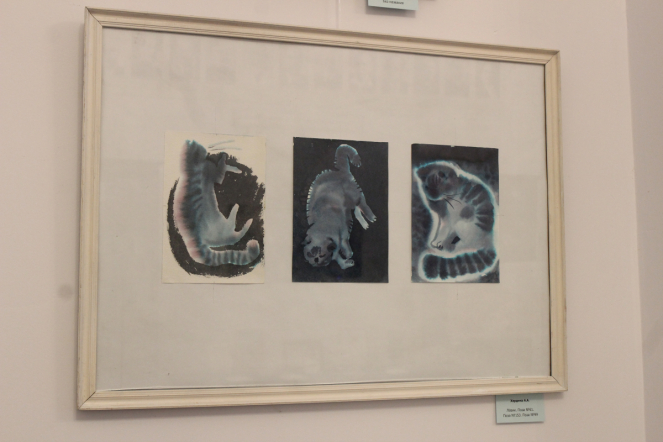 В музее Педиатрического университета открыли выставку, посвящённую началу весны 6