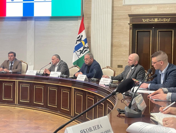 Эксперты Педиатрического университета отметили направления совершенствования системы оказания помощи детям в Новосибирской области