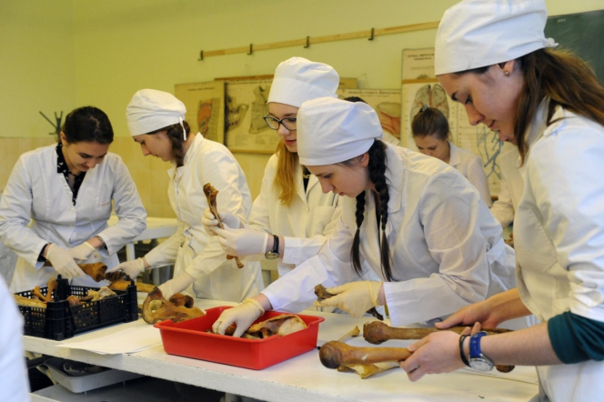 Определены лучшие анатомы среди студентов СПбГПМУ 1