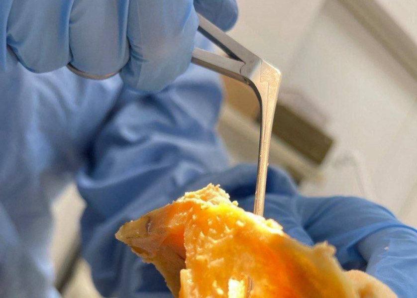 Авторский цикл повышения квалификации «Основы отохирургии. Анатомия височной кости» с использованием кадаверного материала