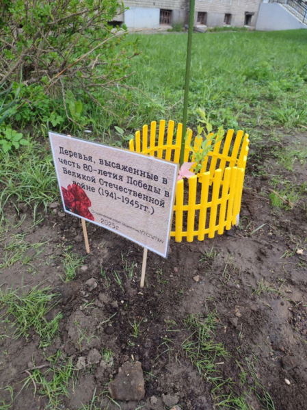 Сирень Победы: студенты Педиатрического университета высадили деревья в память о героях 1