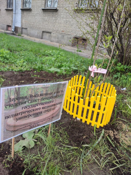 Сирень Победы: студенты Педиатрического университета высадили деревья в память о героях 2
