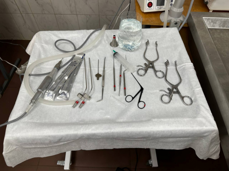 Кадавер курс «Основы отохирургии. Анатомия височной кости» впервые прошел в СПбГПМУ 3