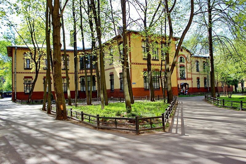 В Педиатрическом университете двухлетнему мальчику из Ленобласти успешно пришили палец после ампутации секатором