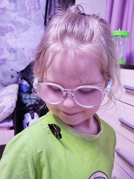 Чем больше детей, тем больше счастья: в Педиатрическом университете рассказали о пополнении в многодетных семьях 1