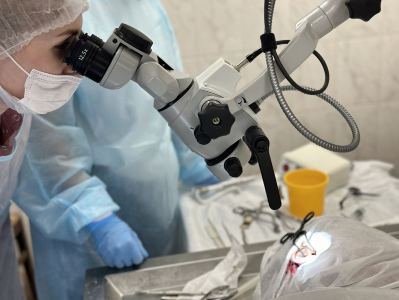 Прошел второй курс повышения квалификации для врачей оториноларингологов "Основы отохирургии. Анатомия височной кости"