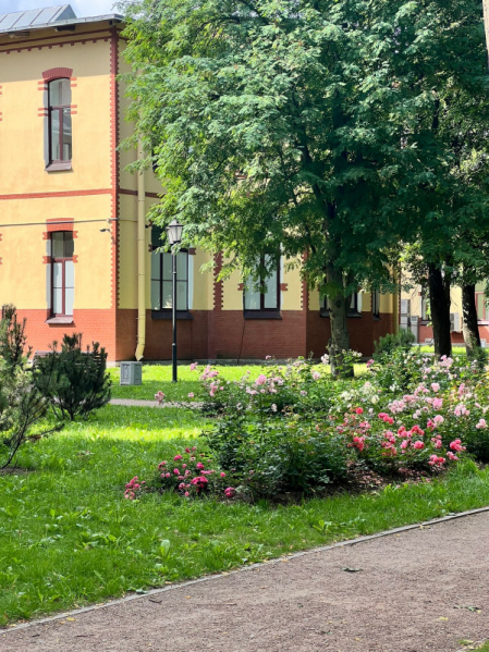 Травмоопасный сезон: врачи Педиатрического университета призывают родителей усилить контроль за детьми