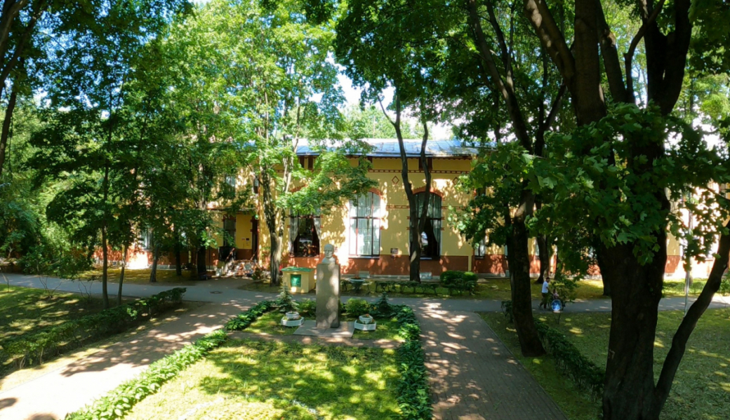 В Педиатрическом университете прооперировали подростка, получившего пулевое ранение из пневматического оружия