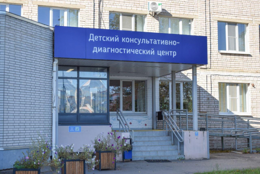 Эксперты Педиатрического университета оказали методическую поддержку здравоохранению Новгородской области 5