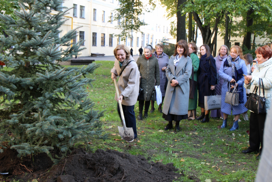 Выпускники 1995 года посадили ель на территории Педиатрического университета 4