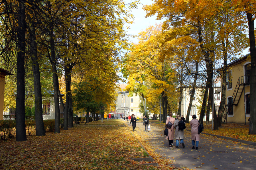 Активные выходные привели к травмам у детей и подростков