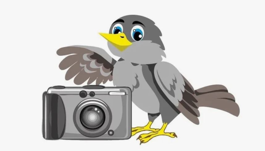 Фотоконкурс «Туризм в объективе: Путешествие по России»